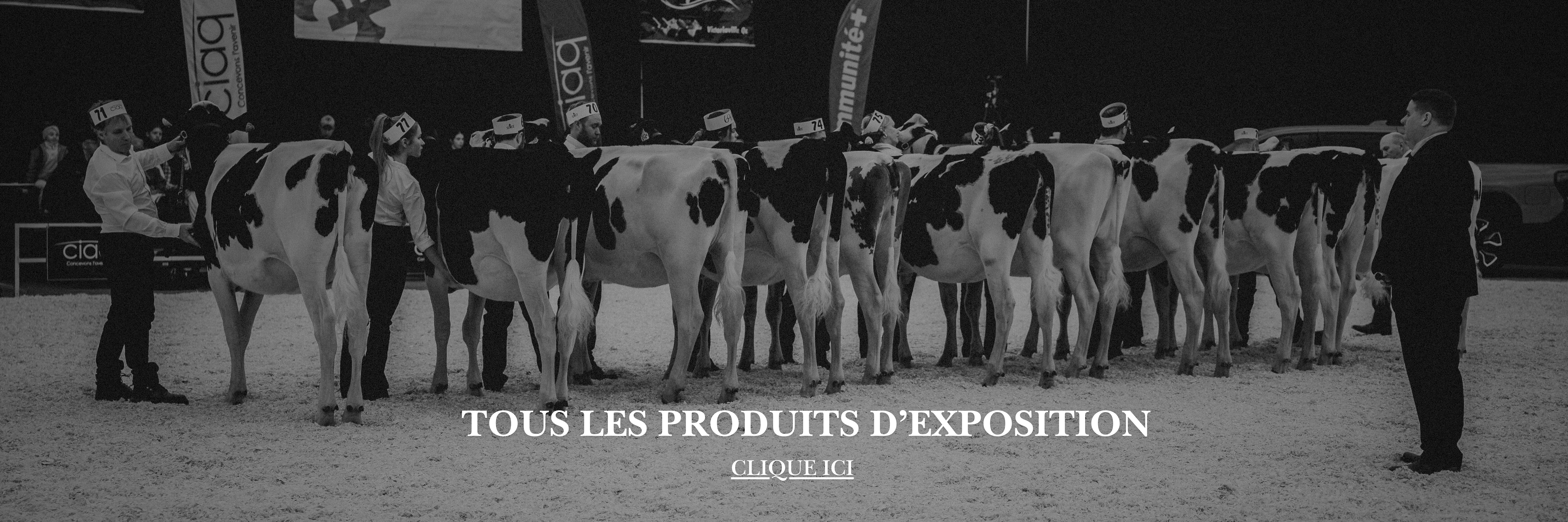 Copie de caroussel expo